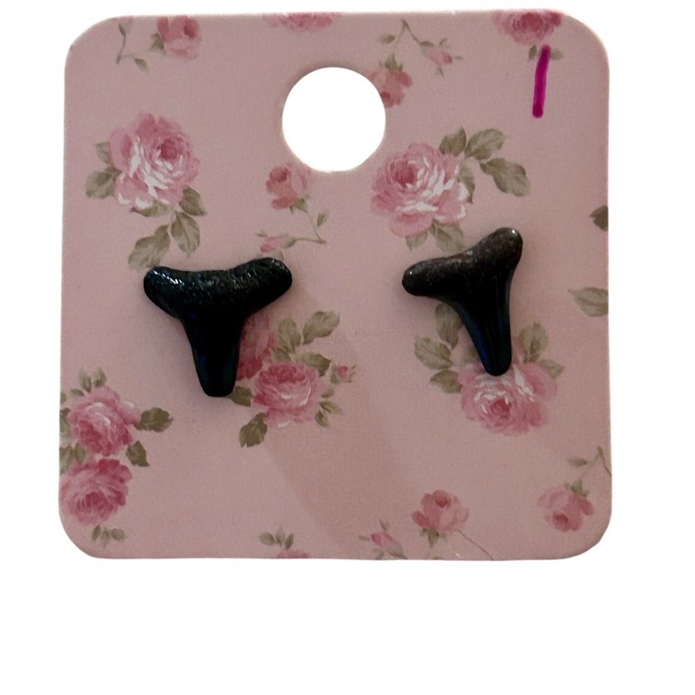 Genuine Black Shark Teeth Earrings from Boca Grande FL B8